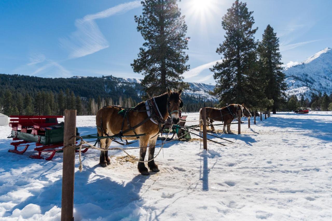 Icicle Village Resort 508: Alpine Aurora レブンワース エクステリア 写真
